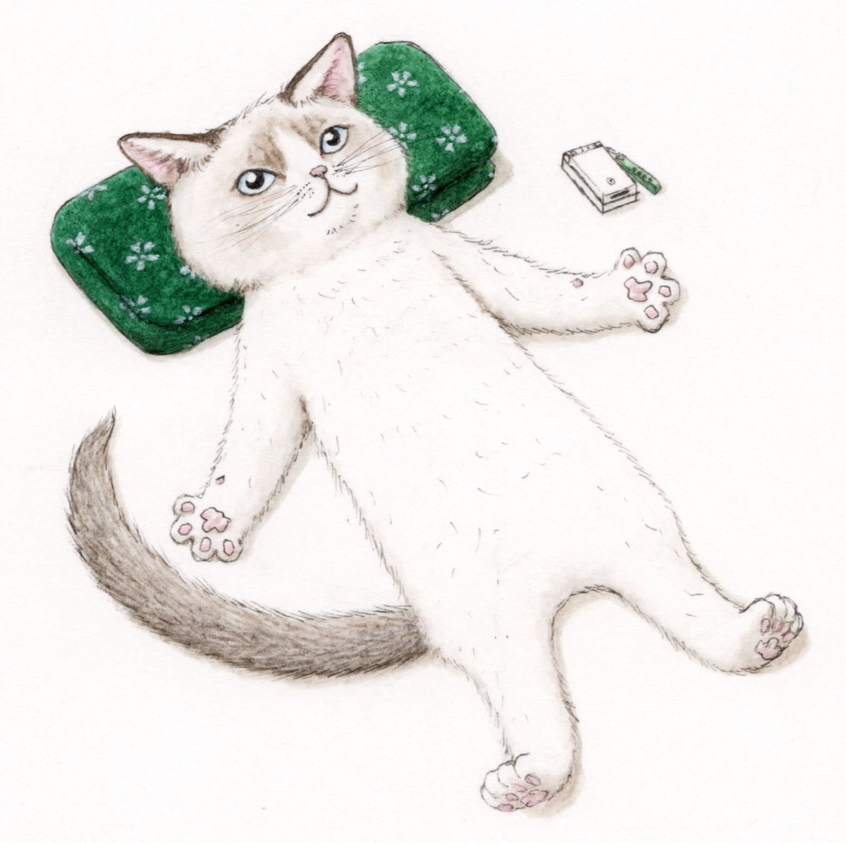 elkpots's tweet image. 『猫、何もしないを愉しむ』🆕 😽📱
楽しい道具がありすぎて
疲れたことに気付かない?
今からぼんやりリラックス🐾
#猫 #cat #イラスト #水彩 #ラグドール