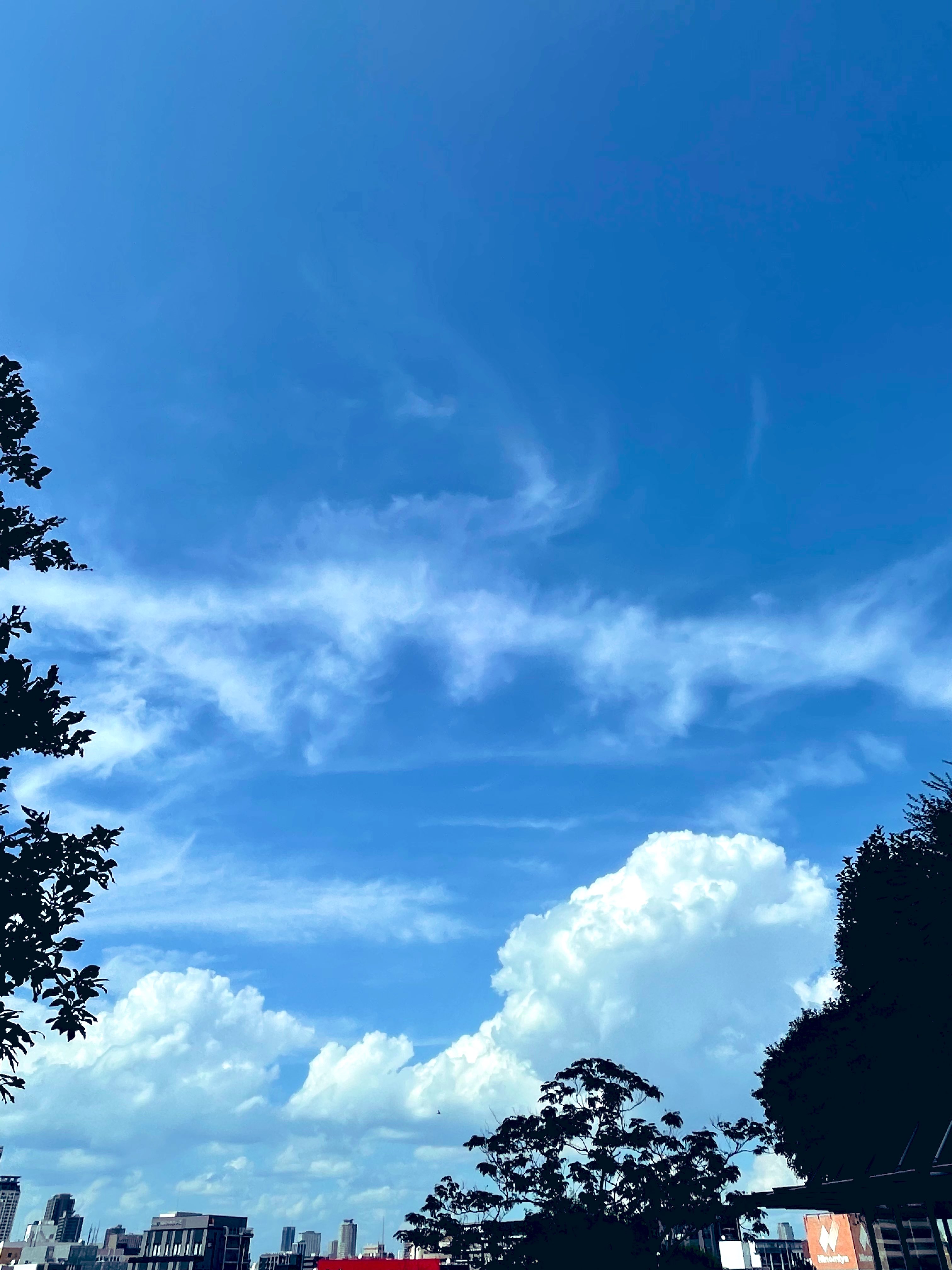 桃色の雲ページです♪ ももいろの雲 - カラスの蒼い空Z