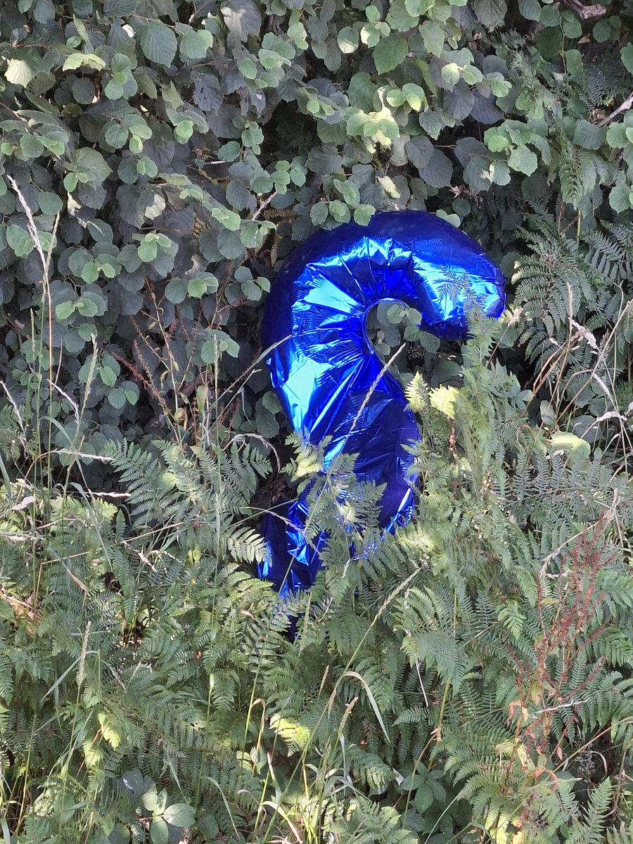 RobSeward23's tweet photo. Dear 'S' or '2' I'm sure our woodland  inhabitants have a use for your helium balloon. Just to make them envious, i used it as tractor #corncart decoration #justbecauseitfloatedawayitsstilllittering #harvest25 https://t.co/cwQnMv57fC