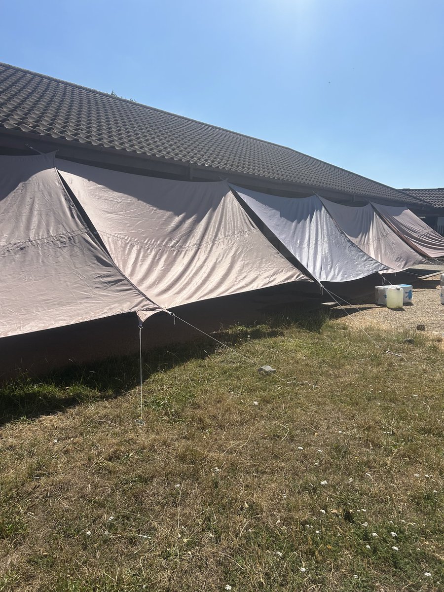 Conrad Allen tweet media