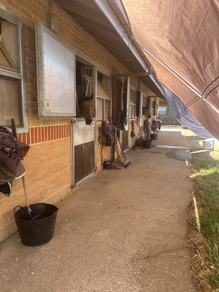 🫠another hot day! Have got the sails out again to keep the horses cooool🐎❄️