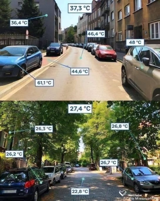 Sommerliche Temperaturen sind divers! 
Warum wird nicht informiert, wo und für wen die Temperaturen gemessen werden. Es braucht keine grossen Studien, um die Klimahysterie zu relativieren.