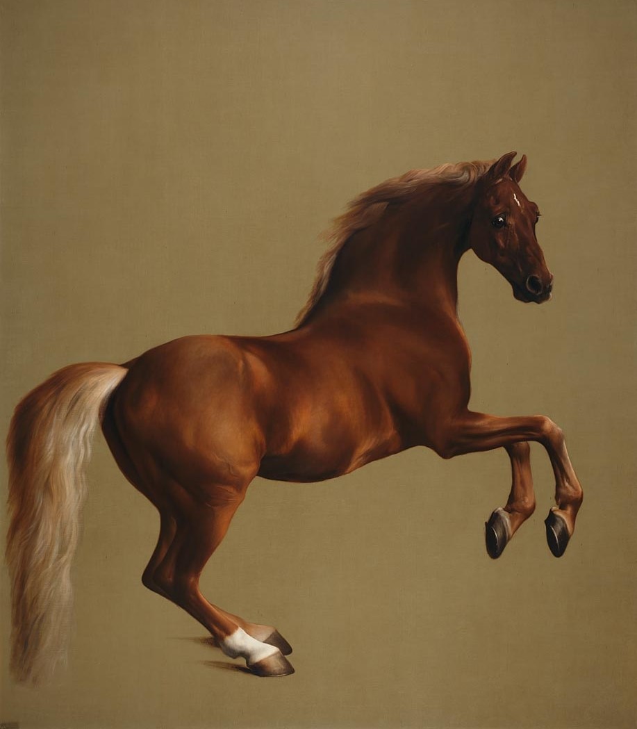 The Naming Game (@the_naming) on Twitter photo Whistlejacket runs at Newmarket for <a href="/Ballydoyle/">Ballydoyle Racing</a>. Whistlejacket is the name of a chestnut stallion painted around 1762 by George Stubbs. Commissioned by Charles Watson-Wentworth, 2nd Marquess of Rockingham, the painting now hangs in the National Gallery in London. Whistlejacket runs at Newmarket for <a href="/Ballydoyle/">Ballydoyle Racing</a>. Whistlejacket is the name of a chestnut stallion painted around 1762 by George Stubbs. Commissioned by Charles Watson-Wentworth, 2nd Marquess of Rockingham, the painting now hangs in the National Gallery in London.