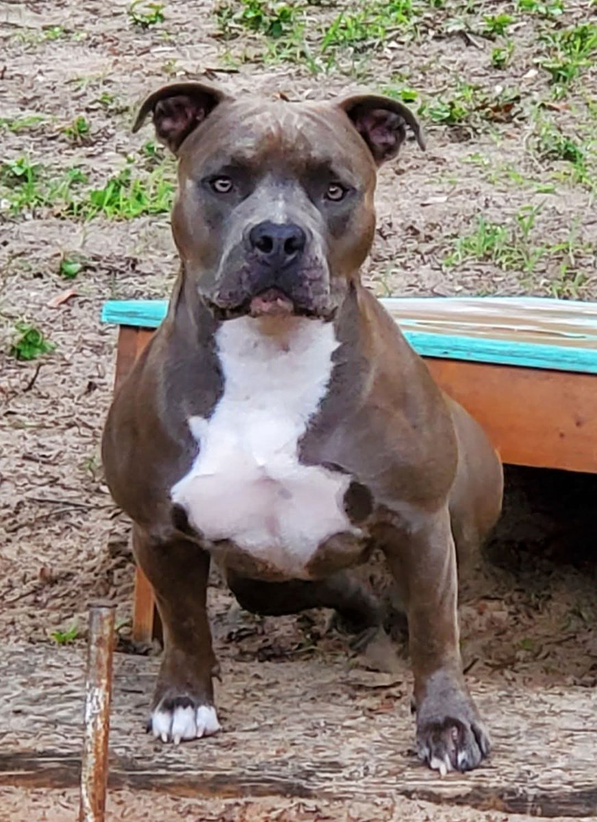 My sassy. So freaking cute.