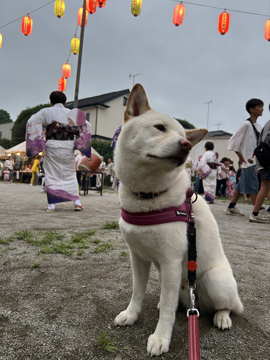 BK20004's tweet image. 近所のお祭り