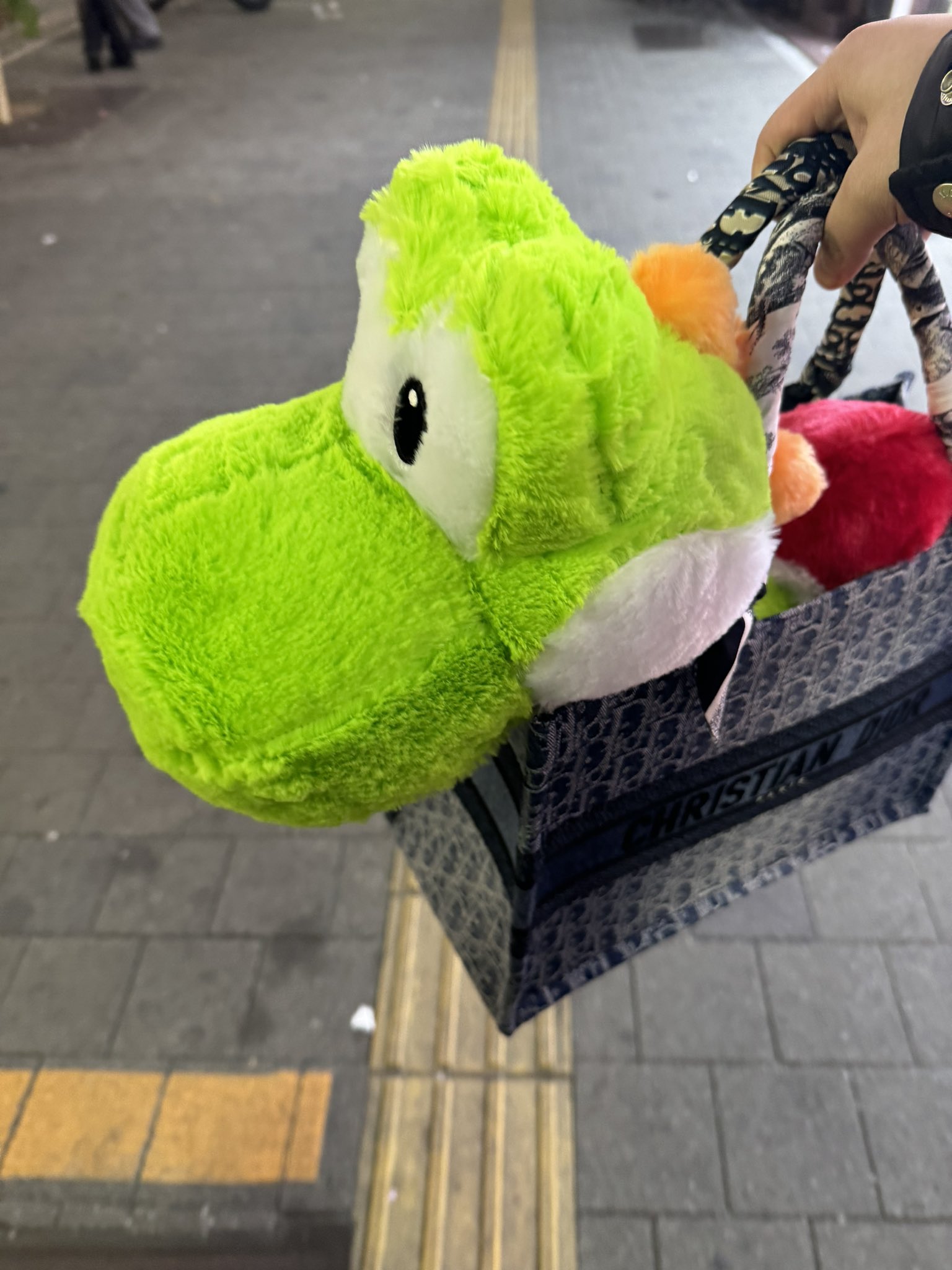 桃缶ちゃんです 5zzT4dDfrbc8.jpg