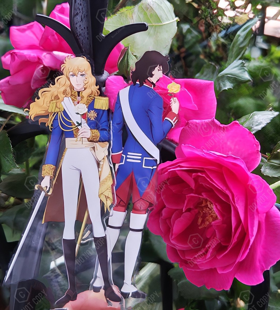 Roseキャベツ tweet media