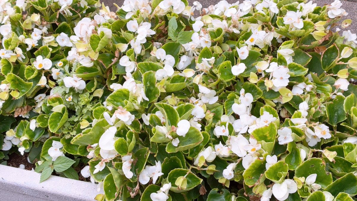 本日、行いました説明会では
元気いっぱいの子役が参加し
スタッフも元気になりました✨
次回お会いできるのも楽しみです！

※お問い合わせにつきましては現状DM にてよろしくお願いします。

#わーるどもんすたー 
#芸能事務所 
#子役