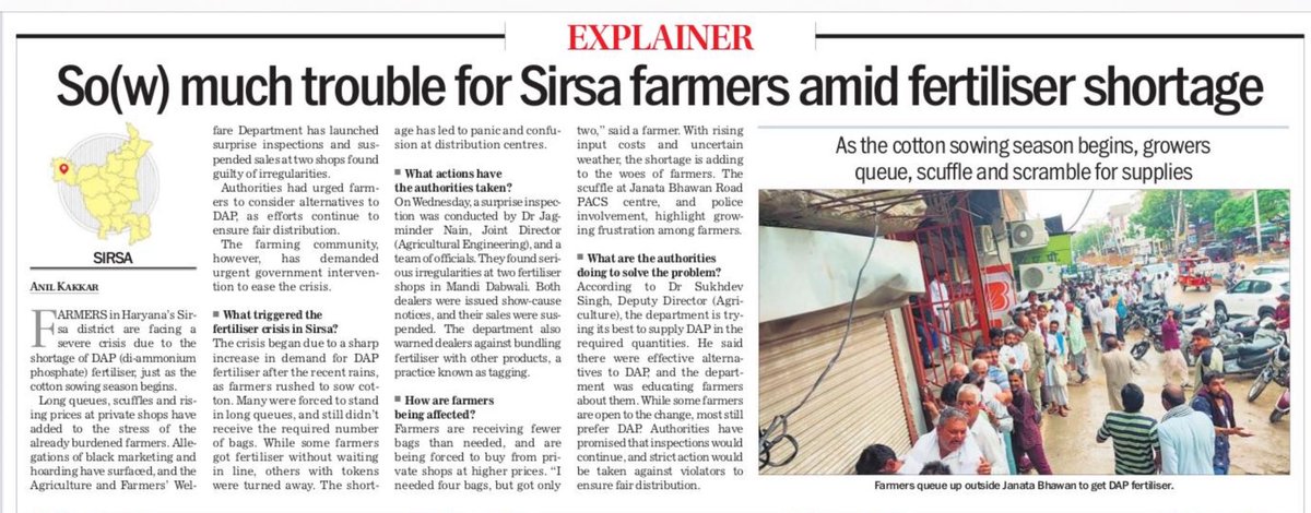 Anilkakkar07's tweet image. Report by #AnilKakkar for @thetribunechd #TheTribune #Explainer #farmerslife #DAP #FarmingCrises #SirsaNews #Sirsa #Fertiliser