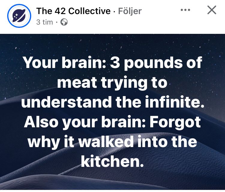 OskarBrandt6's tweet image. #brain #functionality #hjärna #funktionalitet 

oskarbrandt.com/2024/04/21/hja…