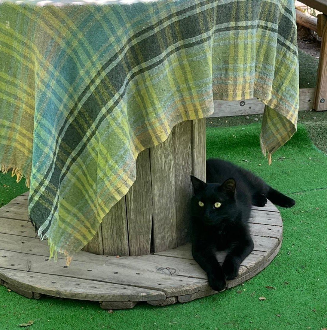 Pek de güzel Maşallah....