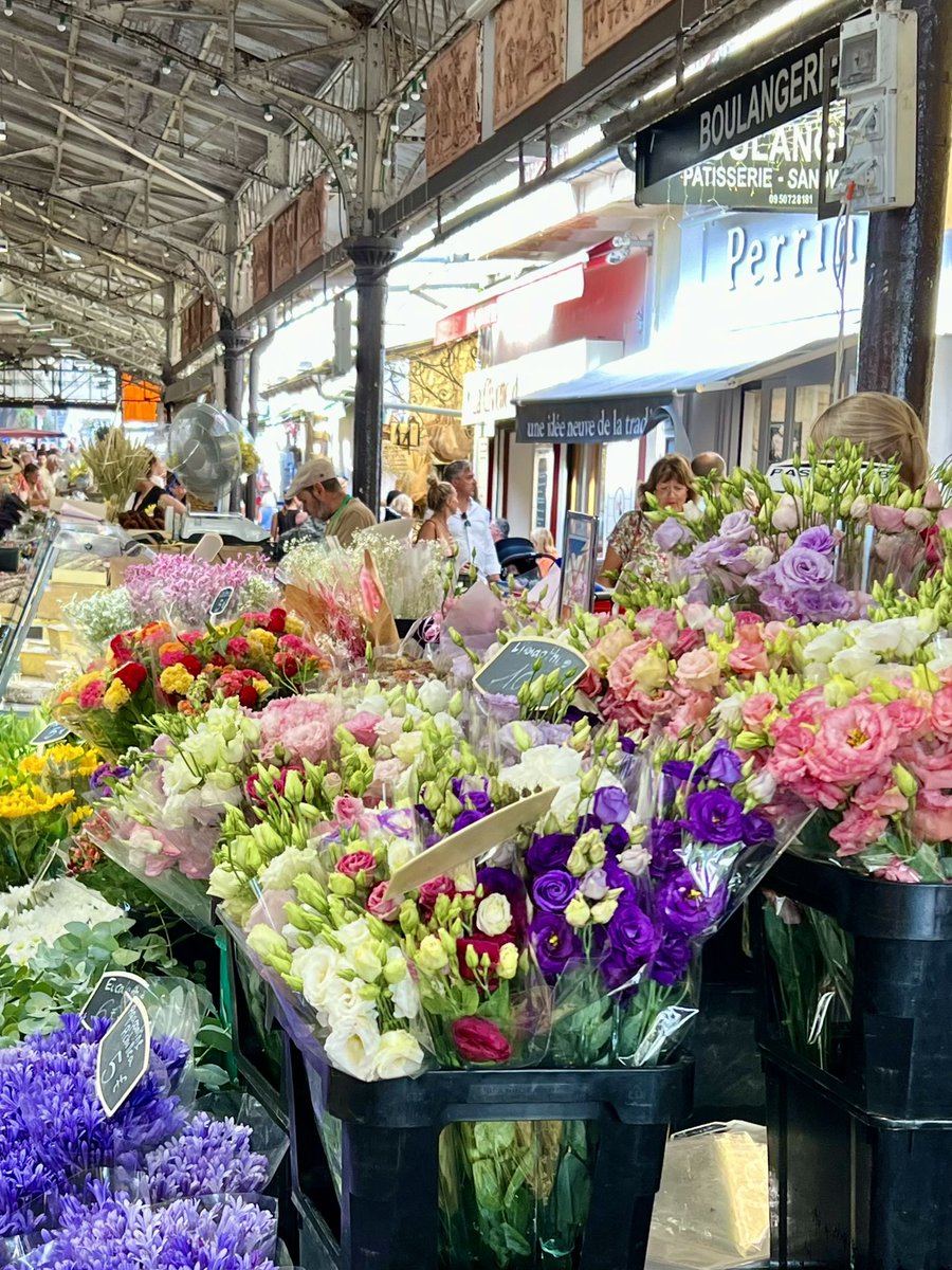 Quelques fleurs pour vous souhaiter une belle journée 🌻🌸🫶🏻🌼🌺
#Antibes ❤️