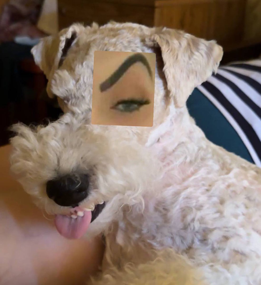 Я в разъебе с этого вторые сутки