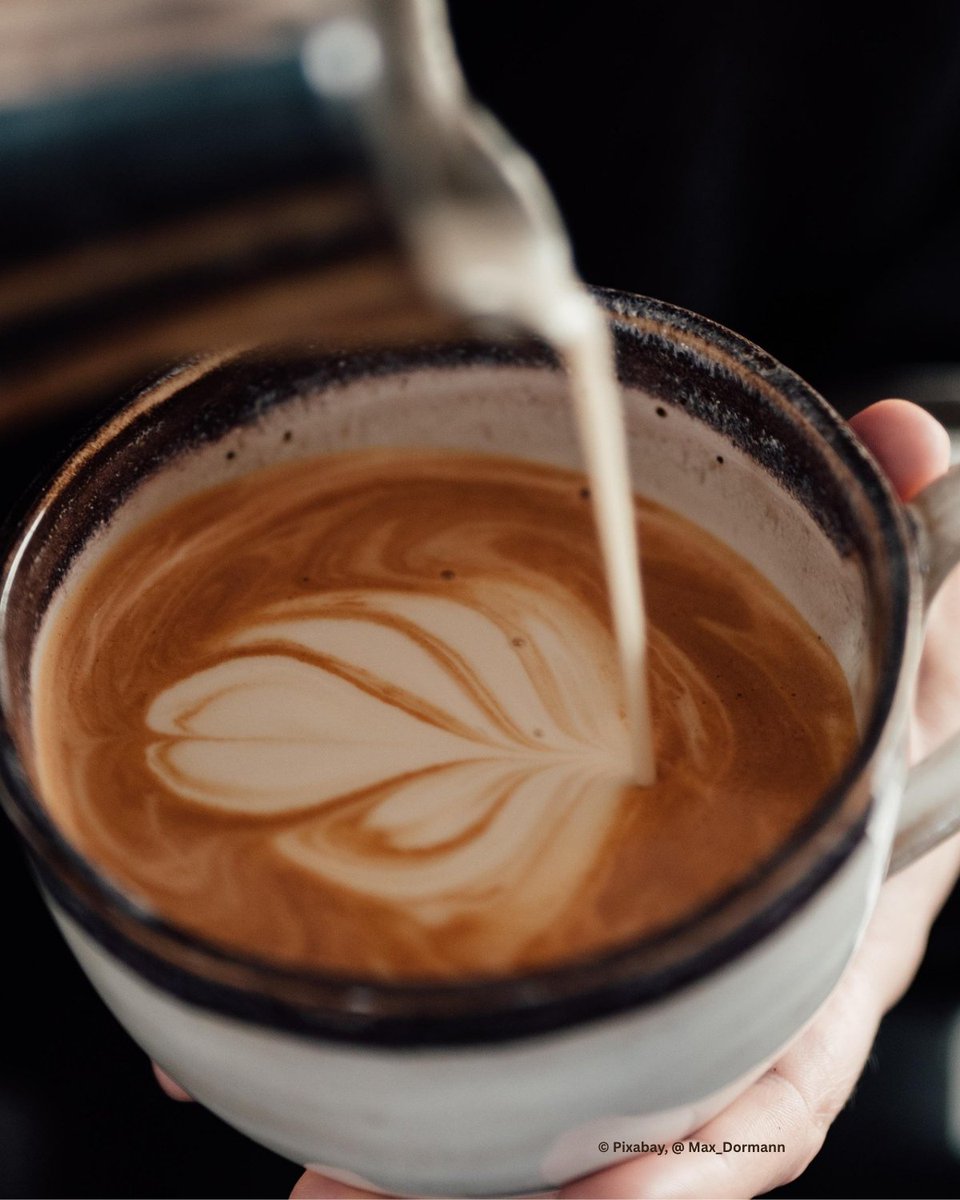 DER CAPPUCCINO

Zu Beginn des 16. Jahrhunderts herrschte Unruhe innerhalb des franziskanischen Ordens. Viele Brüder sahen das Ideal ihres Gründers, des heiligen Franz von Assisi, verraten und sehnten sich nach einem einfachen Leben und einem Dienst an den Armen und Bedürftigen.