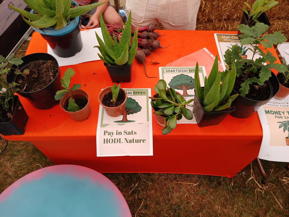 ₿itcoin Beach Retreat 🇬🇧 tweet media