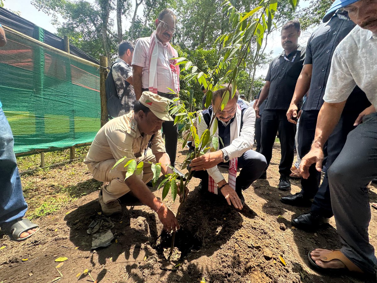 cmpatowary's tweet photo. As a step towards nurturing our natural heritage, planted a Nahor sapling at Nameri Eco-Camp, Hatigate — located within the rich and biodiverse landscape of @namerinptr. 

Small efforts like these go a long way in preserving our green cover for future generations.

#EkPedMaaKeNam https://t.co/p4JQKoQ5wu
