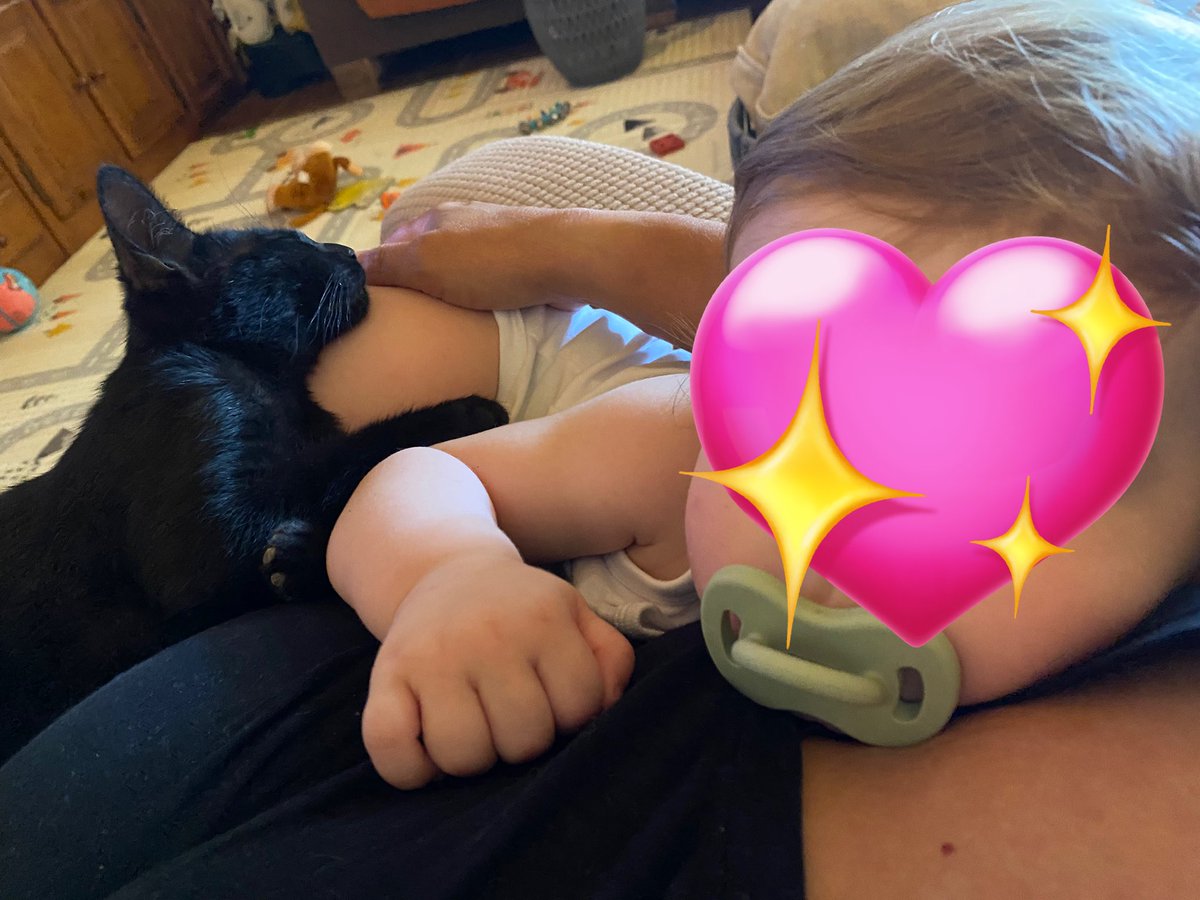 Creciendo juntos ❤️🐈‍⬛🐈‍⬛👶