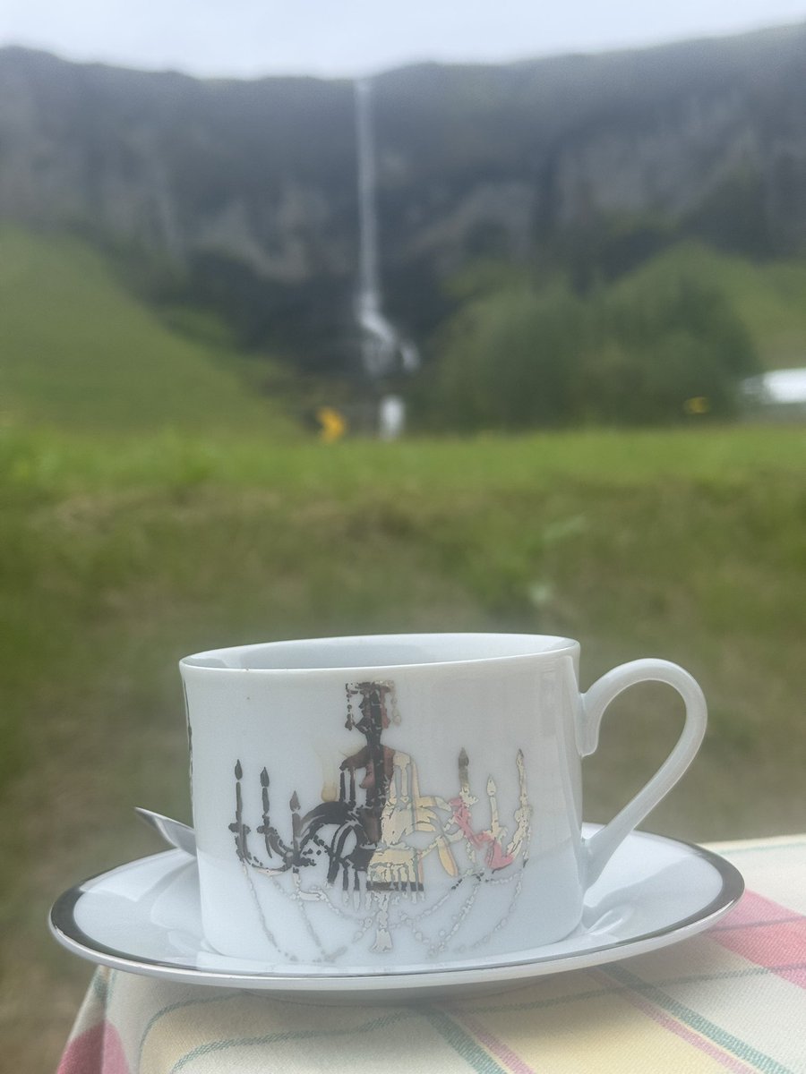 SeminoleAlford's tweet image. Special coffee today with a view of a waterfall @PDourvetakis! Go Noles! 🍢