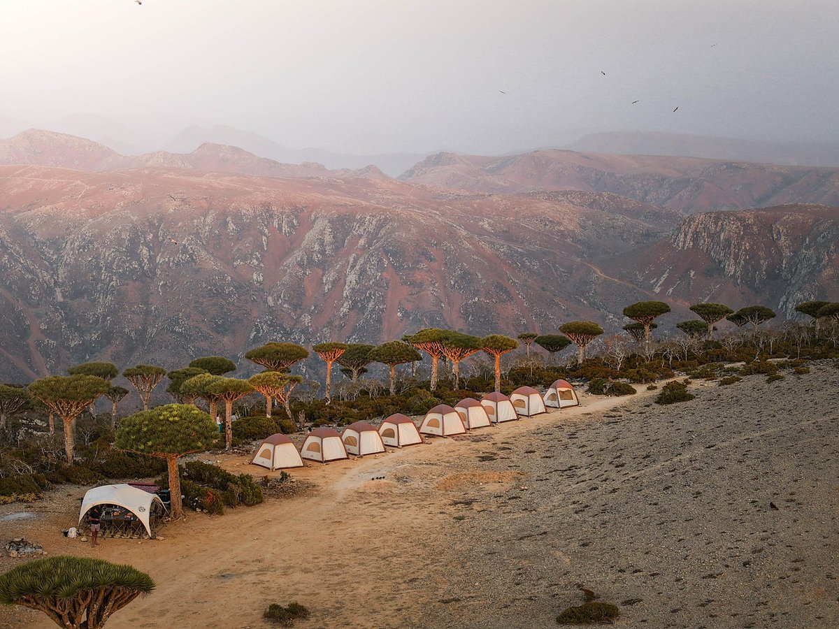 joefranc's tweet image. Launching a new destination for 2026: YEMEN. 🇾🇪
Exploratory muna. Soon.. public offering. #OffdutyBucketlist
Follow us on IG and FB!
(Offdutybucketlist)