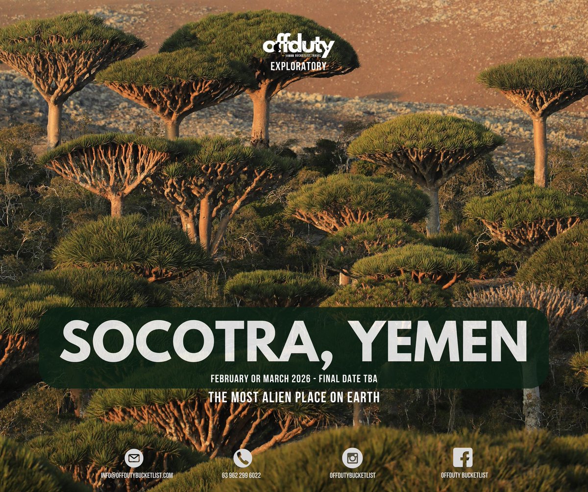 joefranc's tweet image. Launching a new destination for 2026: YEMEN. 🇾🇪
Exploratory muna. Soon.. public offering. #OffdutyBucketlist
Follow us on IG and FB!
(Offdutybucketlist)