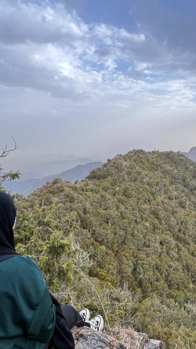 بشرى tweet media