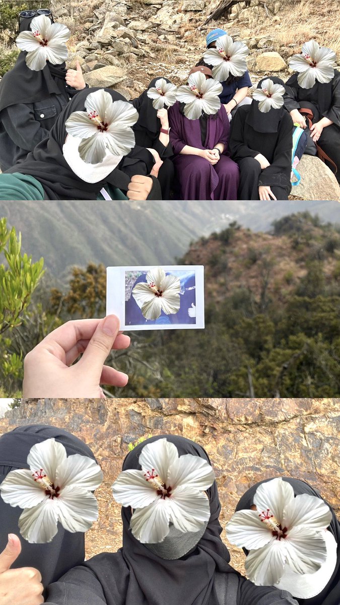 بشرى tweet media