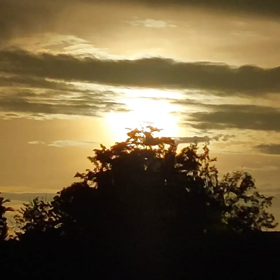 hopefulhumanist's tweet photo. Sunsets: because even the sky knows how to let go beautifully https://t.co/71x3GaeaeM