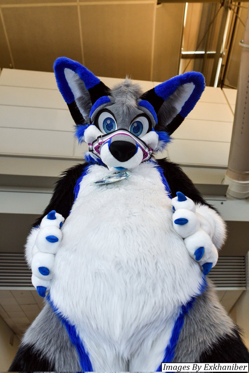 RockySheperd's Fursuiter of the Month (July)

🐾- Korik
🧵- <a href="/MoreFurLess/">More Fur Less</a> 
📷- <a href="/Exkhaniber/">Recon Roo 3/3 💉</a> 
🌎- Anthrocon 2023