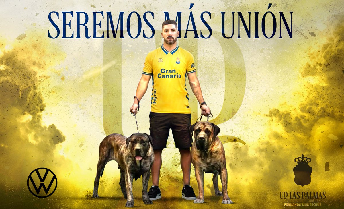 FMontecruz's tweet image. 💛💛💙💙
@UDLP_Oficial @Suarezalex46 #LaUniónHaceLasPalmas #SeremosMásUnión