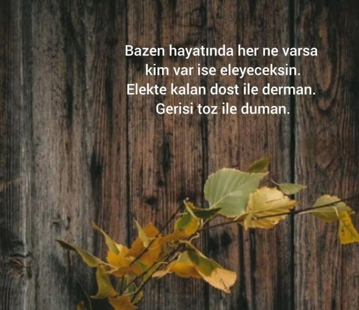 Muhsin TÜRK (@muhsinfhgter) on Twitter photo 