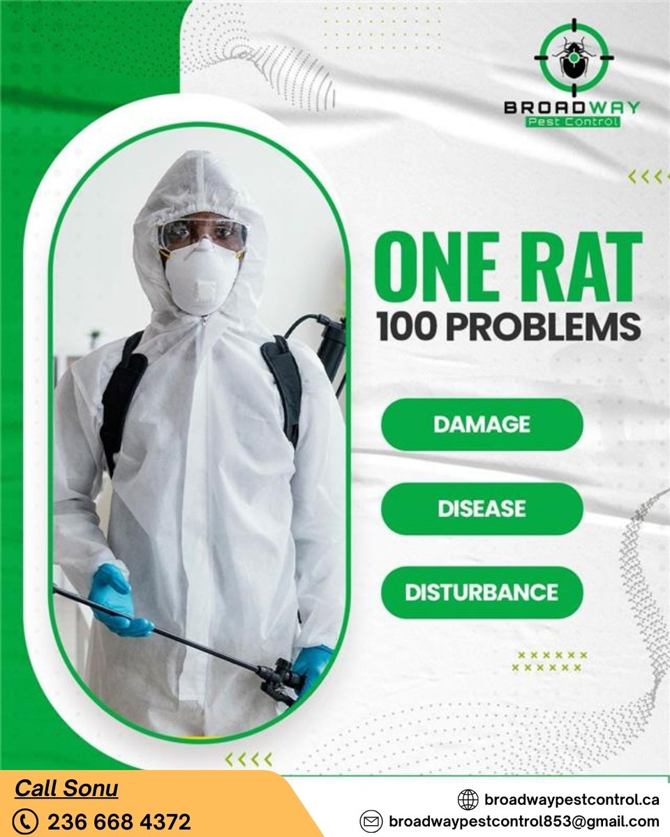 BroadPest93579's tweet image. One Rat = 100 Problems! Don’t let a single pest create damage, spread disease, and cause endless disturbance in your home or business.

☎+1 236-668-4372
🌐 broadwaypestcontrol.ca

#PestControl #BroadwayPestControl #RodentFree #SafeSpaces