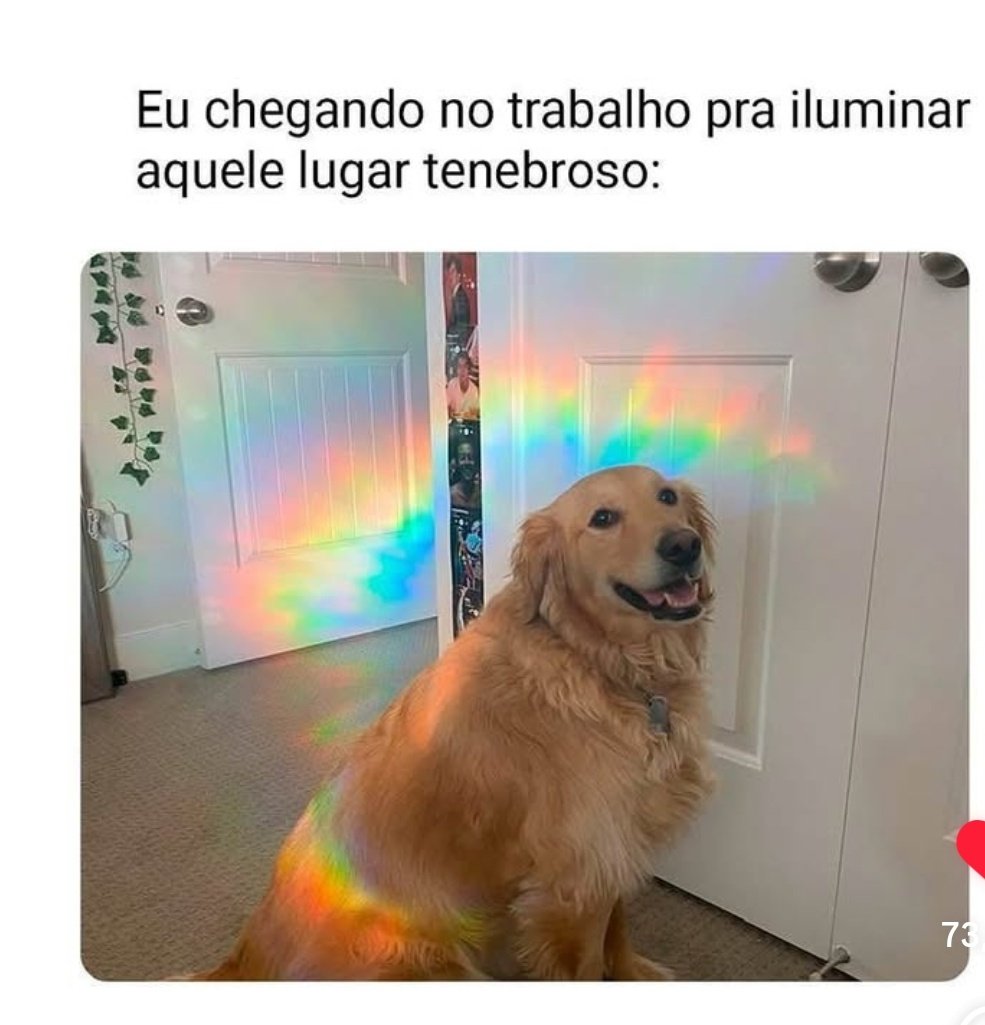 Little Strange ۞| 📖: (@bookisstrange) on Twitter photo 