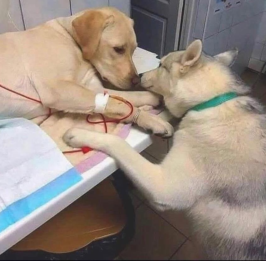 This picture is so beautiful that the whole world can't see it ♥️