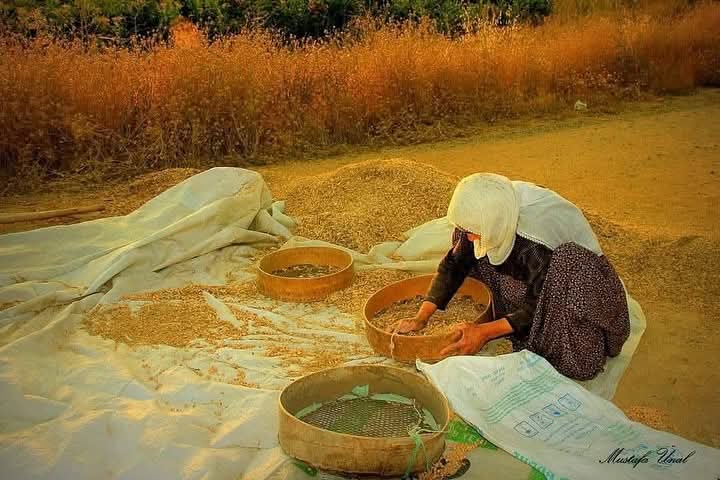 Konya'da harman zamanı... 

📸 Mustafa Ünal