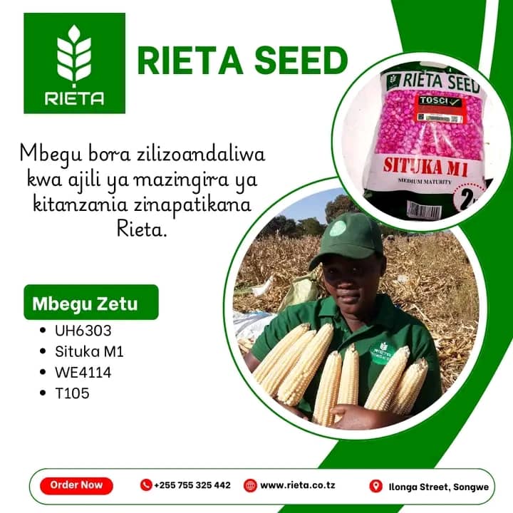 Rieta Seed Tanzania tweet media