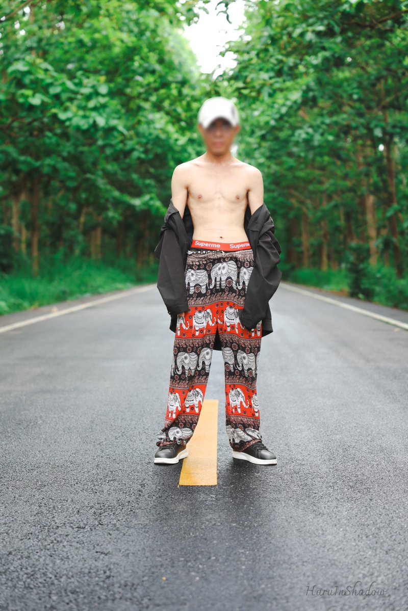 HaruInShadow tweet media