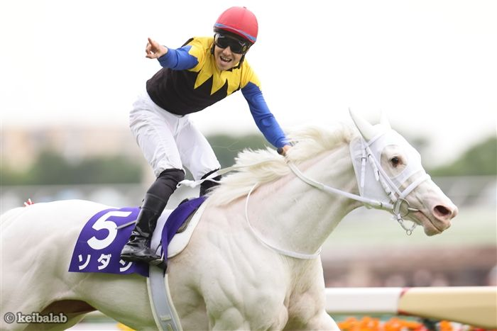 keibalab's tweet image. 【白って200色あんねん】
#マルガ #ソダシ #ハヤヤッコ #アマンテビアンコ 
keibalab.jp/db/horse/20231…