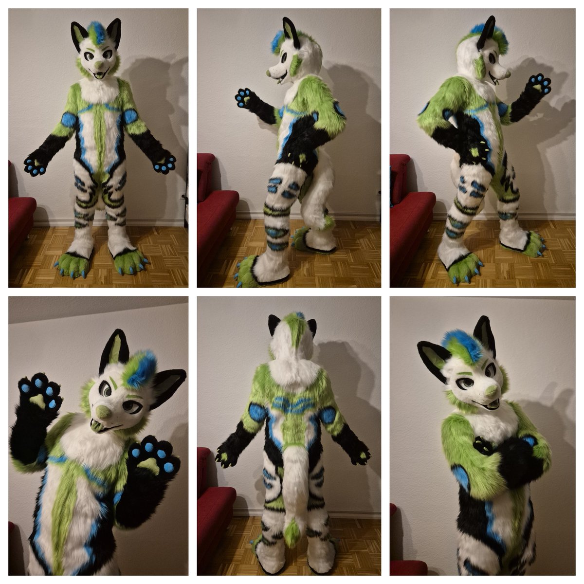 Rex picked up his suit last evening and we took some pictures.☺️
(therefore, the lighting is semi good) 

Welcome to my family, Rex🤗