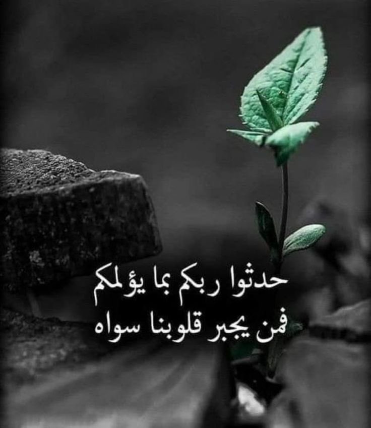 🇸🇦💛zh🤍 (@zahrh__r) on Twitter photo 