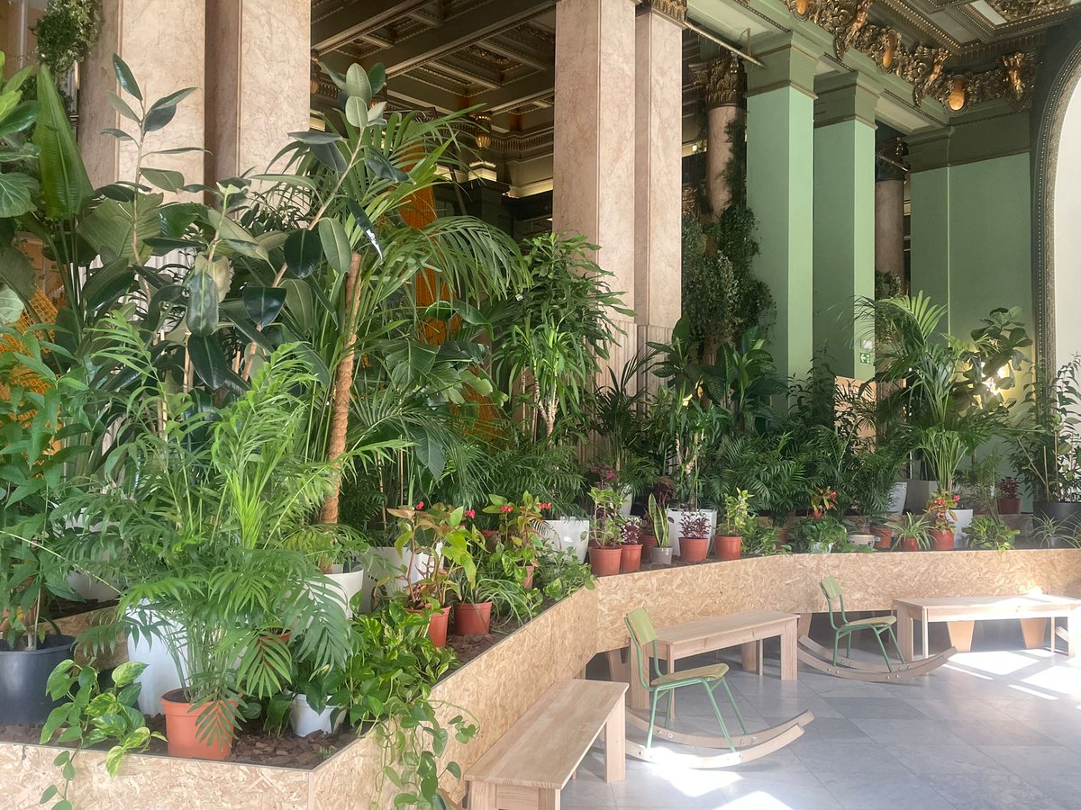 Avivirmadrid's tweet photo. 🌿 Conectamos con @leo12rod desde el @cbamadrid: naturaleza, cultura y refugio climático en el corazón de la ciudad.

🌞 Plantas, arte y sostenibilidad para combatir el calor y disfrutar del verano entre vegetación.

📻 https://t.co/TxHdmm9FuL https://t.co/eUvk2W5mh0