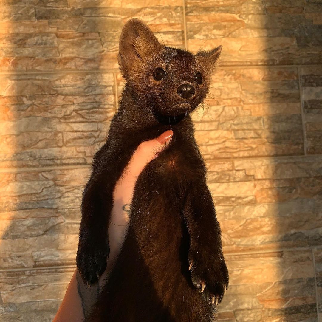 DON'T GET PRIME DEAL PHONES ON AMAZON!!

WTH IS THIS THING THEY SENT!?!???