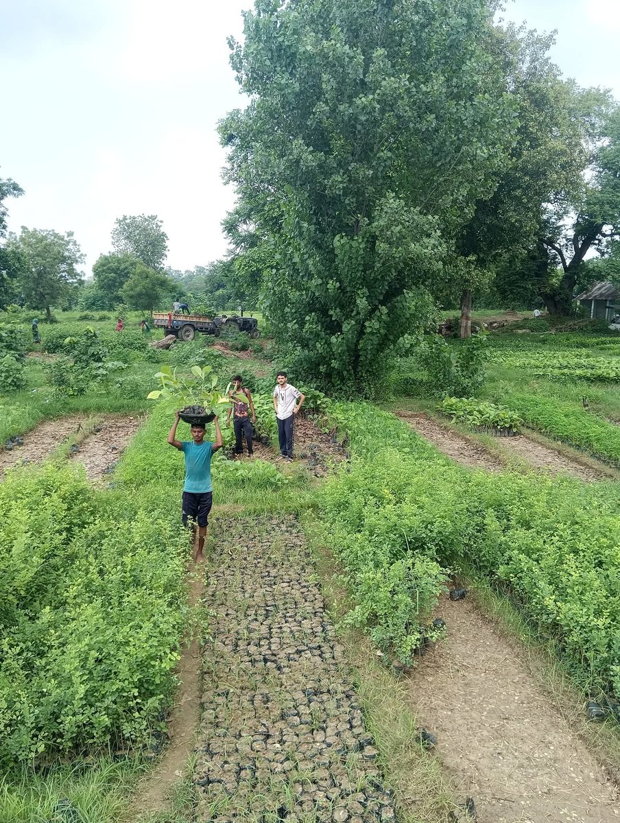 💥" बुंदेलखंड नेचुरल्स, बाँदा " में  
❇️एक पेड़🌱 माँ के नाम 2.0 
♻️पौध रोपण में विशेष तौर पर जैव विविधतता का ध्यान रखते हुए तीनों प्रकार के 500 पौधों का समावेश कर पौध रोपण सम्पन्न किया गया- 
✅ फल वाले पौधे।
✅ औषधीय पौधे।
✅ एवं इमरती लकड़ी वाले पौधे 
💥जय भारत.. जय बुंदेलखंड💥