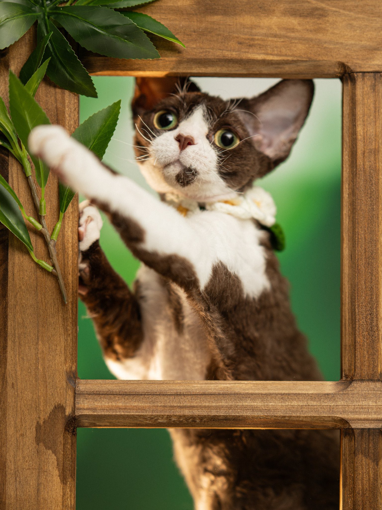 ✴️超特別価格【原画】『スゴロック居住区』犬　猫　動物画　パステル画　風景画 ✴️超特別価格【原画】『スゴロック居住区』犬 猫 動物画