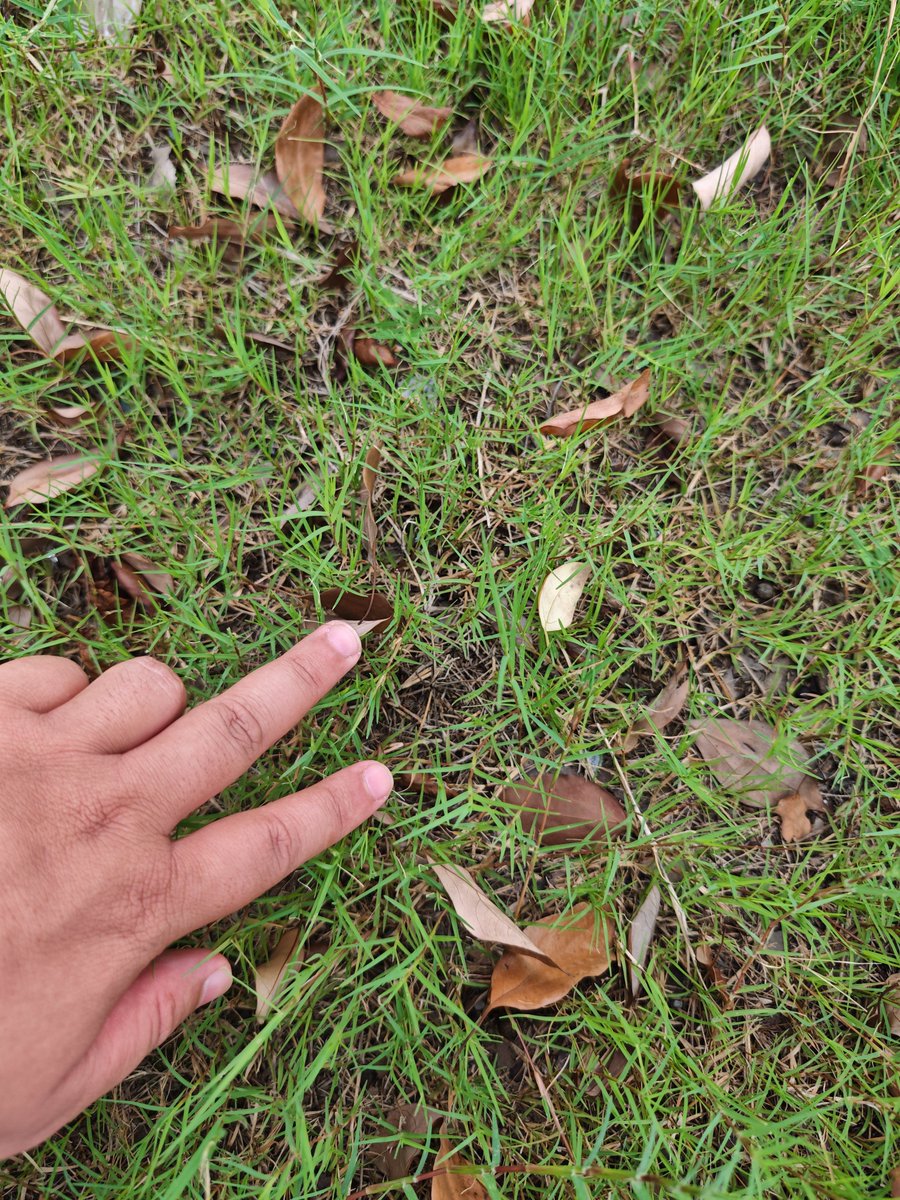 ShilTapan16's tweet photo. #openseatouchgrass https://t.co/floSQTUHwF