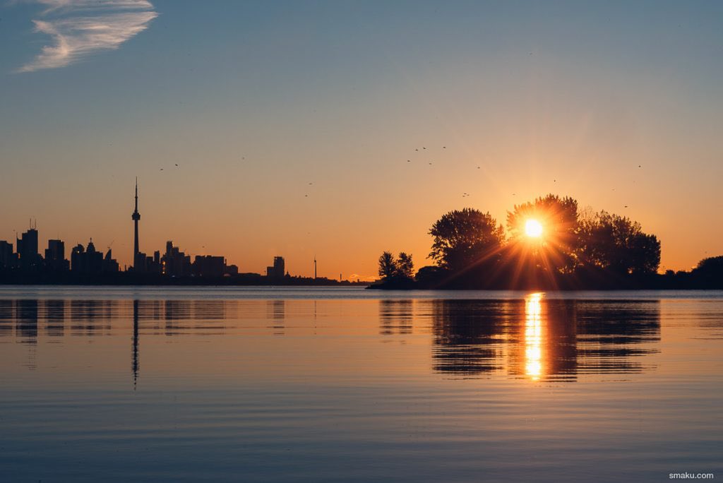 LoveisThicker's tweet image. Ahhh…. Summer mornings are glorious!
Happy Saturday from Toronto.