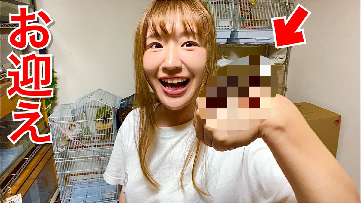 napo_gggggg's tweet image. 新しい家族が我が家にやってきました。沼った女の末路 youtu.be/4Ss-ZpqQgOE?si… @YouTubeより
本日の動画です👀‼️