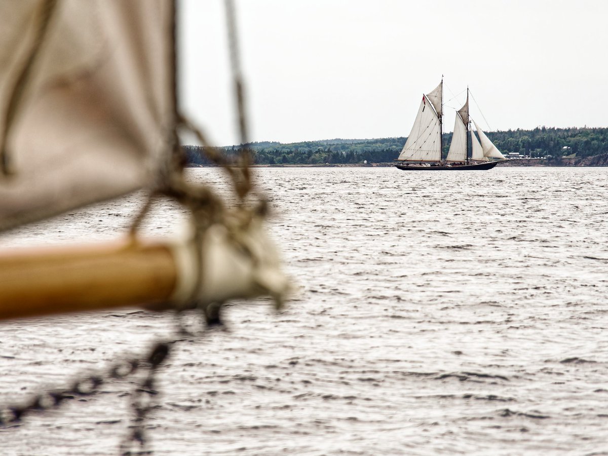 SailBluenoseII's tweet image. Delighted to receive these photos from our friends aboard Mimi Jane. It's always a treat to sail with you!
