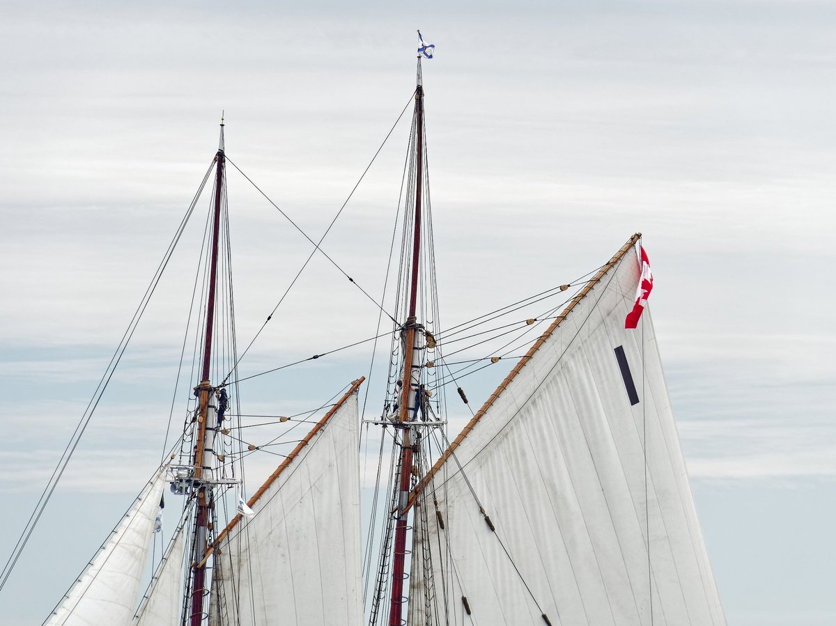SailBluenoseII's tweet image. Delighted to receive these photos from our friends aboard Mimi Jane. It's always a treat to sail with you!