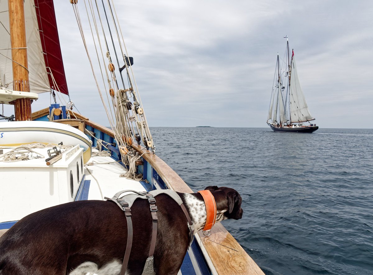 SailBluenoseII's tweet image. Delighted to receive these photos from our friends aboard Mimi Jane. It's always a treat to sail with you!