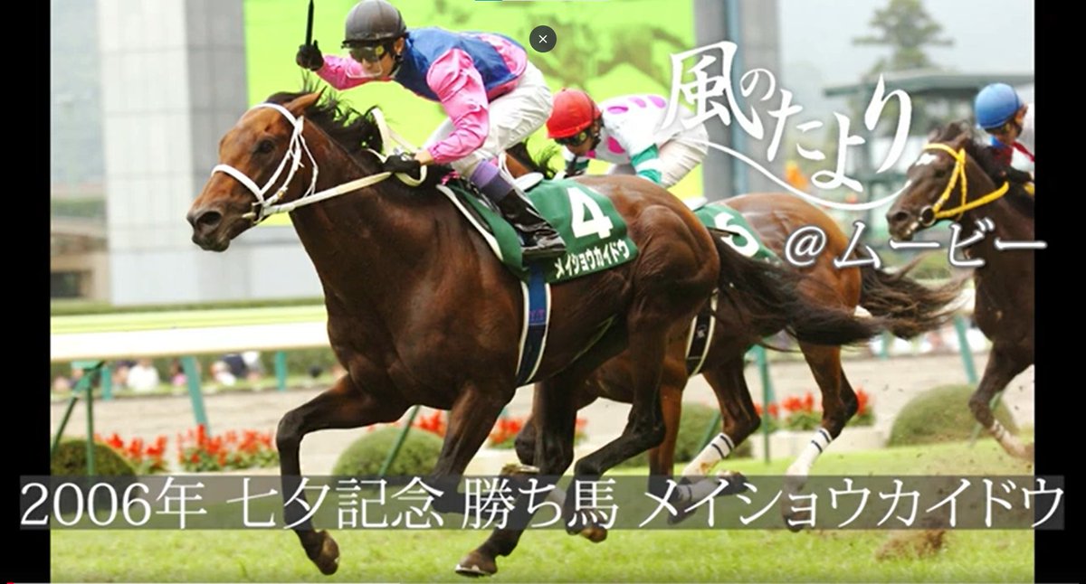 sanspoyosouou's tweet image. 小倉大賞典、小倉記念、北九州記念の〝小倉3冠〟を制したメイショウカイドウ
2006年の七夕賞も武豊騎手を背に勝利した小倉巧者でした
26歳になった現在も、地元のお祭りで元気に活躍中
流鏑馬の練習をする様子を動画で公開しています👇
youtu.be/42BXCDXkZqI